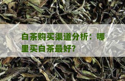 白茶购买渠道分析：哪里买白茶最好？