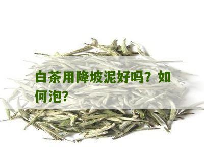 白茶用降坡泥好吗？如何泡？