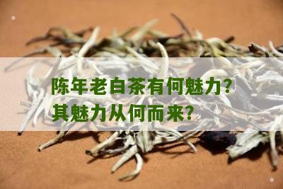 陈年老白茶有何魅力？其魅力从何而来？