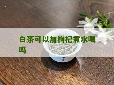 白茶可以加枸杞煮水喝吗