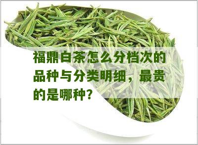 福鼎白茶怎么分档次的品种与分类明细，最贵的是哪种？