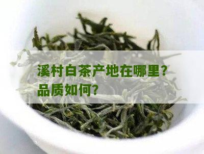 溪村白茶产地在哪里？品质如何？