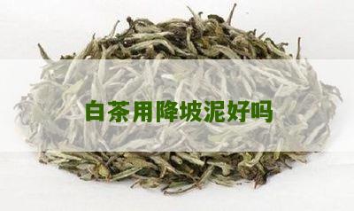 白茶用降坡泥好吗