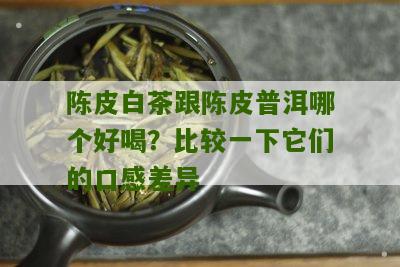 陈皮白茶跟陈皮普洱哪个好喝？比较一下它们的口感差异