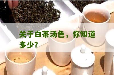 关于白茶汤色，你知道多少？