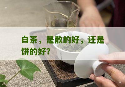 白茶，是散的好，还是饼的好？