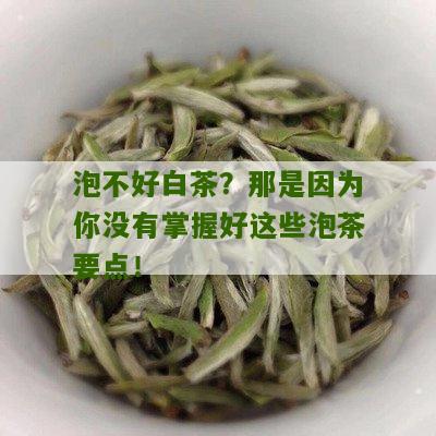 泡不好白茶？那是因为你没有掌握好这些泡茶要点！