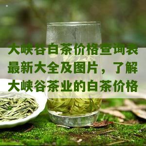 大峡谷白茶价格查询表最新大全及图片，了解大峡谷茶业的白茶价格。