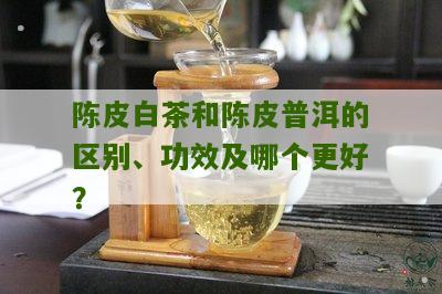 陈皮白茶和陈皮普洱的区别、功效及哪个更好？