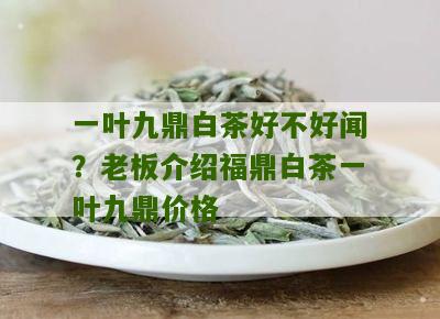 一叶九鼎白茶好不好闻？老板介绍福鼎白茶一叶九鼎价格