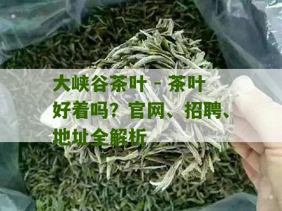 大峡谷茶叶 - 茶叶好着吗？官网、招聘、地址全解析