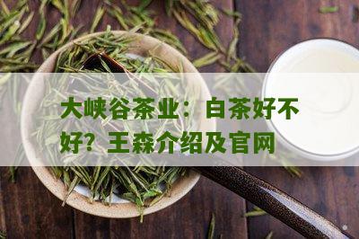 大峡谷茶业：白茶好不好？王森介绍及官网