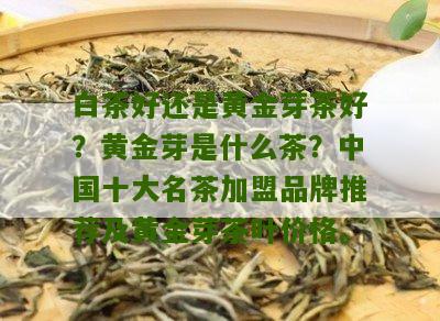 白茶好还是黄金芽茶好？黄金芽是什么茶？中国十大名茶加盟品牌推荐及黄金芽茶叶价格。