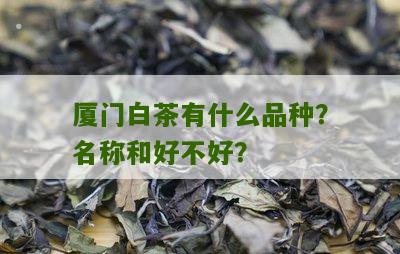 厦门白茶有什么品种？名称和好不好？