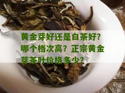 黄金芽好还是白茶好？哪个档次高？正宗黄金芽茶叶价格多少？