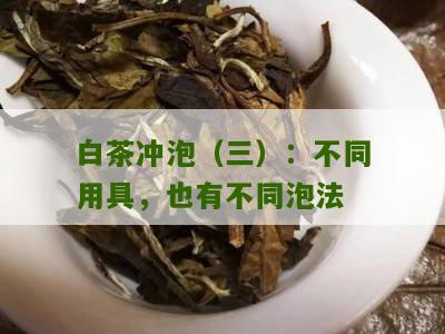 白茶冲泡（三）：不同用具，也有不同泡法