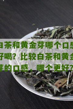 白茶和黄金芽哪个口感好喝？比较白茶和黄金芽的口感，哪个更好？