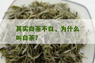 其实白茶不白，为什么叫白茶？