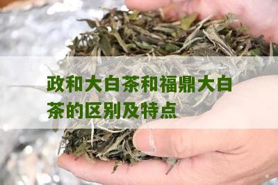 政和大白茶和福鼎大白茶的区别及特点