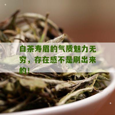 白茶寿眉的气质魅力无穷，存在感不是刷出来的！