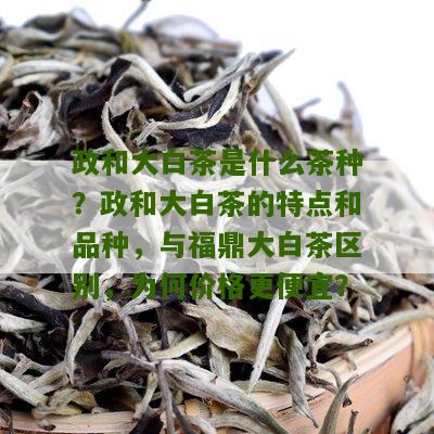 政和大白茶是什么茶种？政和大白茶的特点和品种，与福鼎大白茶区别，为何价格更便宜？