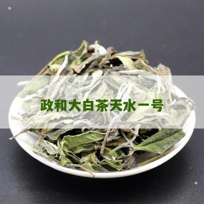 政和大白茶天水一号