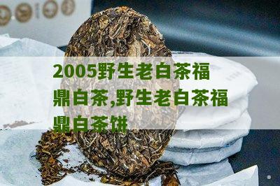 2005野生老白茶福鼎白茶,野生老白茶福鼎白茶饼