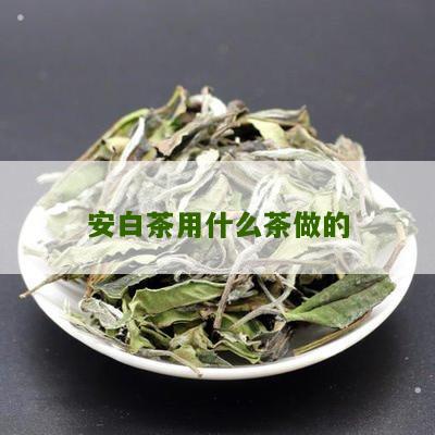 安白茶用什么茶做的