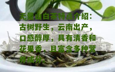 无量山白茶特点介绍：古树野生，云南出产，口感醇厚，具有清香和花果香，且富含多种营养成分。