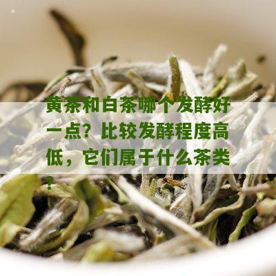 黄茶和白茶哪个发酵好一点？比较发酵程度高低，它们属于什么茶类？