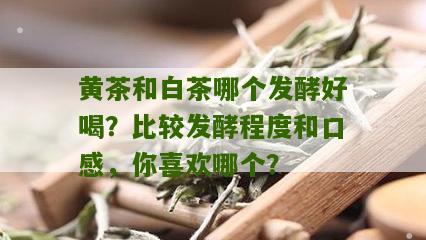 黄茶和白茶哪个发酵好喝？比较发酵程度和口感，你喜欢哪个？