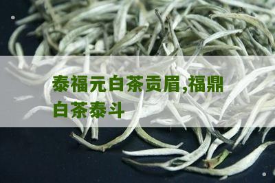 泰福元白茶贡眉,福鼎白茶泰斗