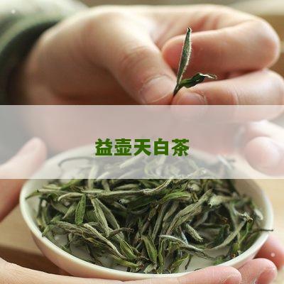 益壶天白茶