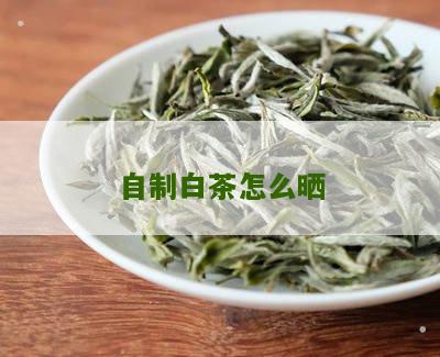 自制白茶怎么晒