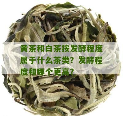 黄茶和白茶按发酵程度属于什么茶类？发酵程度和哪个更高？