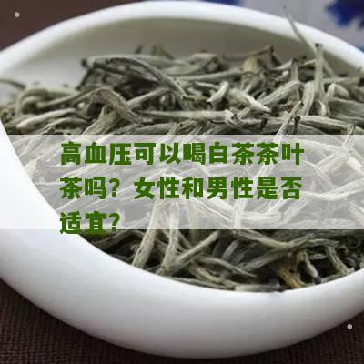 高血压可以喝白茶茶叶茶吗？女性和男性是否适宜？