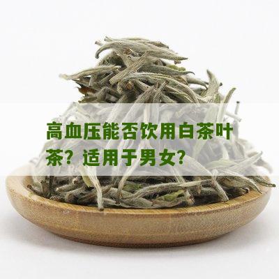 高血压能否饮用白茶叶茶？适用于男女？