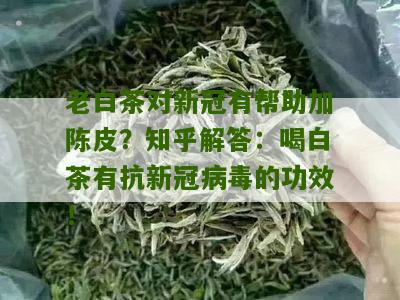 老白茶对新冠有帮助加陈皮？知乎解答：喝白茶有抗新冠病毒的功效！