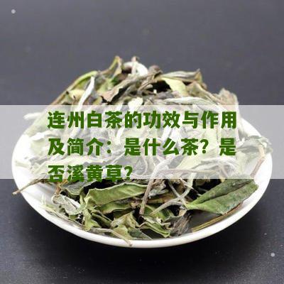 连州白茶的功效与作用及简介：是什么茶？是否溪黄草？