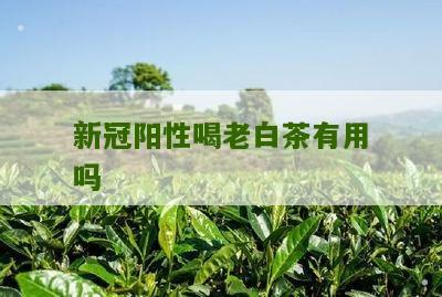 新冠阳性喝老白茶有用吗