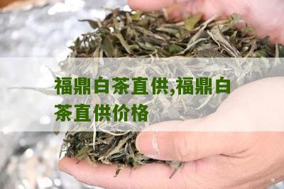 福鼎白茶直供,福鼎白茶直供价格