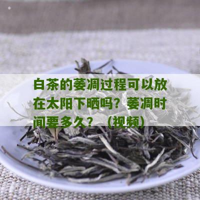 白茶的萎凋过程可以放在太阳下晒吗？萎凋时间要多久？（视频）