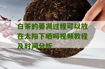 白茶的萎凋过程可以放在太阳下晒吗视频教程及时间分析