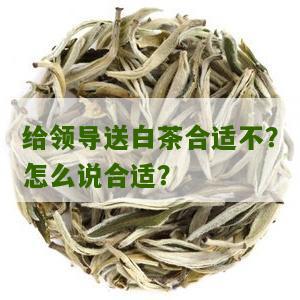 给领导送白茶合适不？怎么说合适？