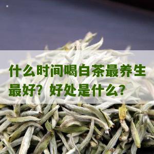 什么时间喝白茶最养生最好？好处是什么？