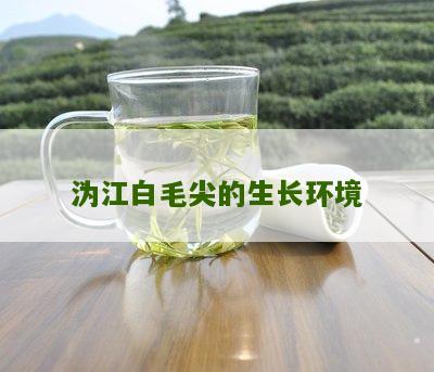 沩江白毛尖的生长环境