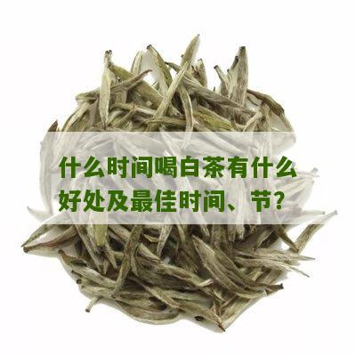 什么时间喝白茶有什么好处及最佳时间、节？