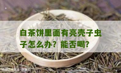 白茶饼里面有亮壳子虫子怎么办？能否喝？