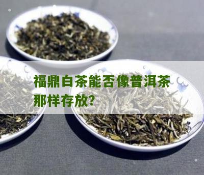 福鼎白茶能否像普洱茶那样存放？