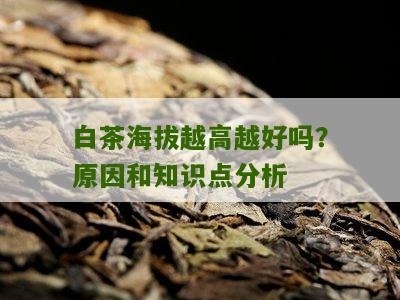 白茶海拔越高越好吗？原因和知识点分析